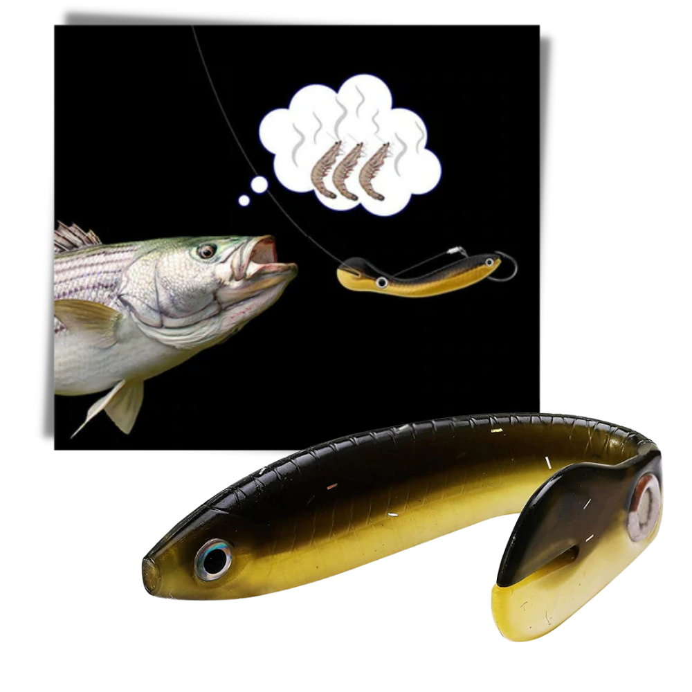 Ensemble d'appâts de pêche artificiels