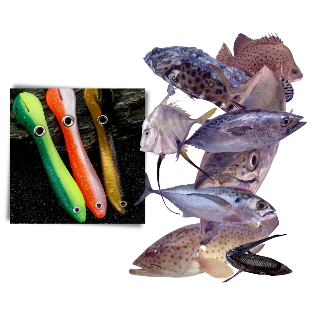 Ensemble d'appâts de pêche artificiels