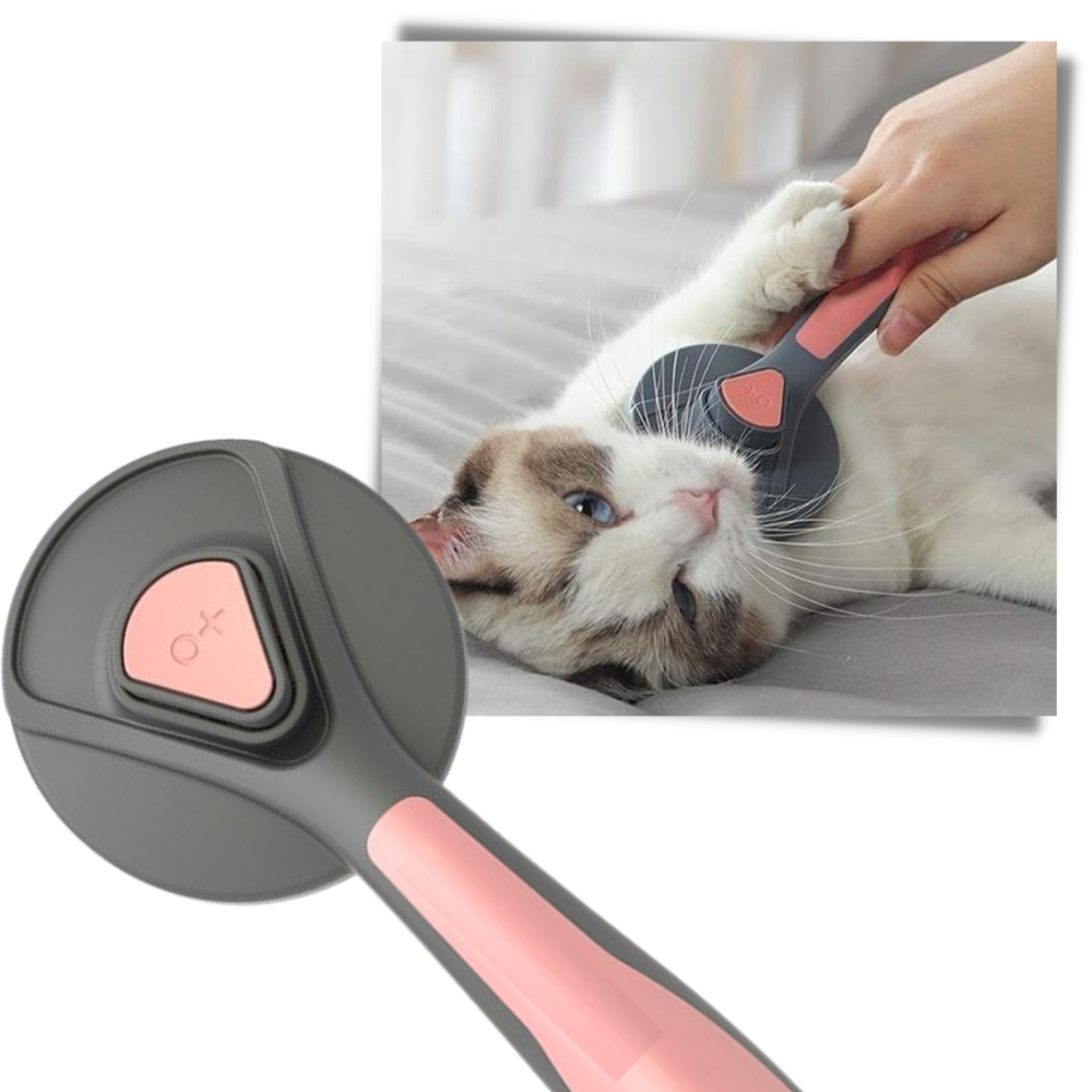 Brosse spéciale pour animaux de compagnie