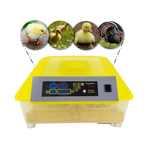 Incubateur automatique d'oeufs (48 oeufs)