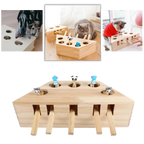 Jouet interactif en bois à 5 trous pour chat