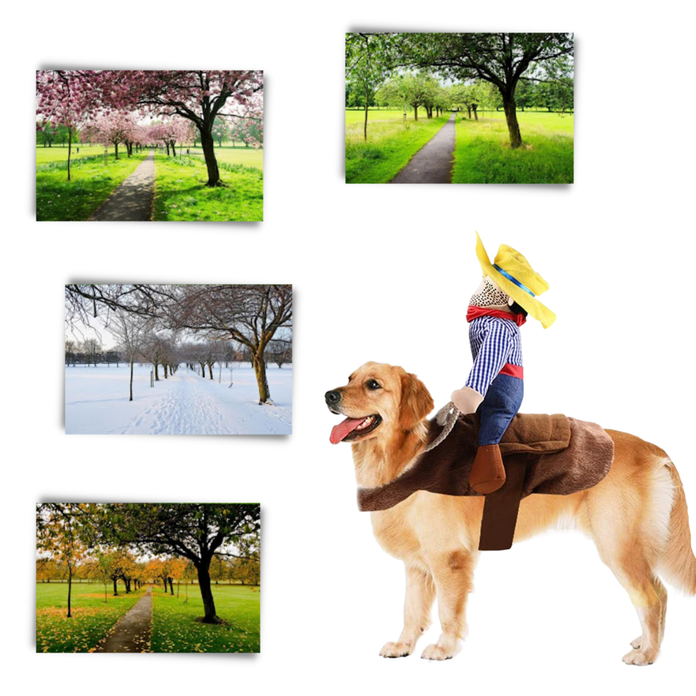 Déguisement de cow-boy pour chien