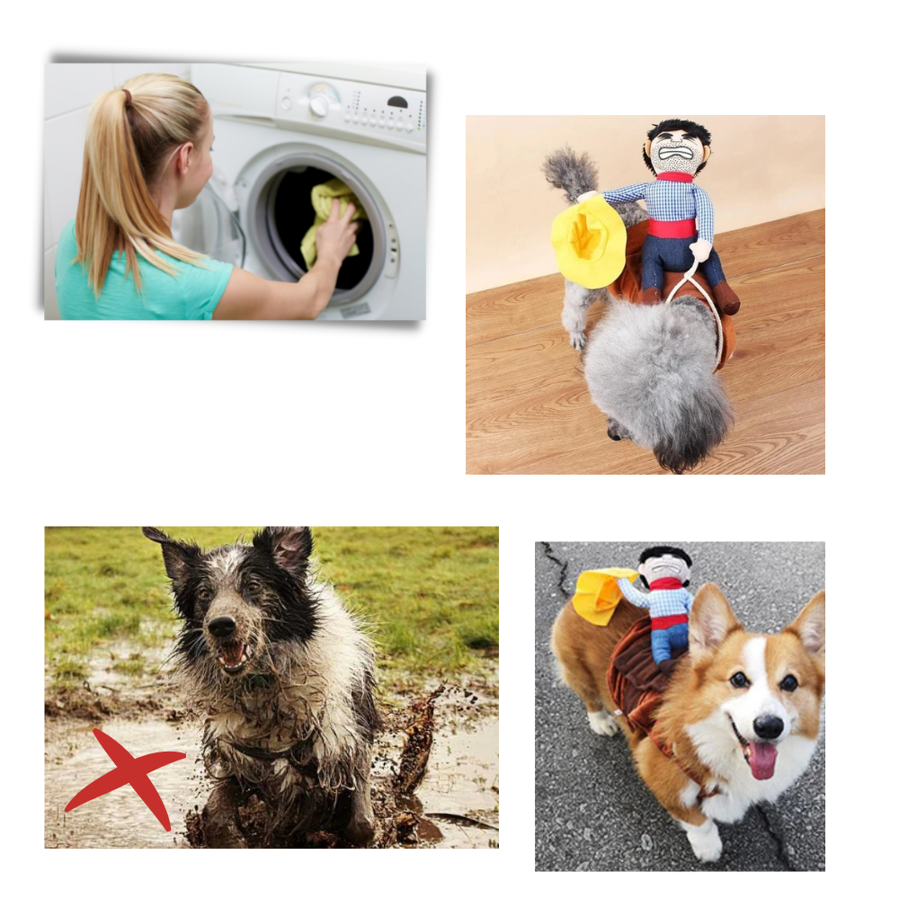 Déguisement de cow-boy pour chien