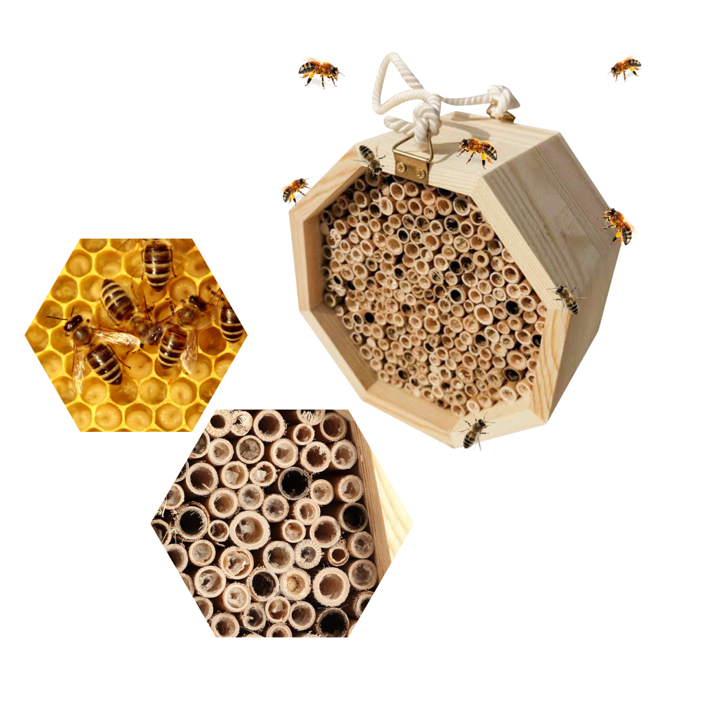 Maison en bois hexagonale pour abeilles