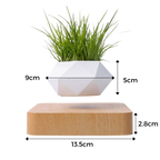 Pot à plante flottant en lévitation