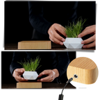 Pot à plante flottant en lévitation