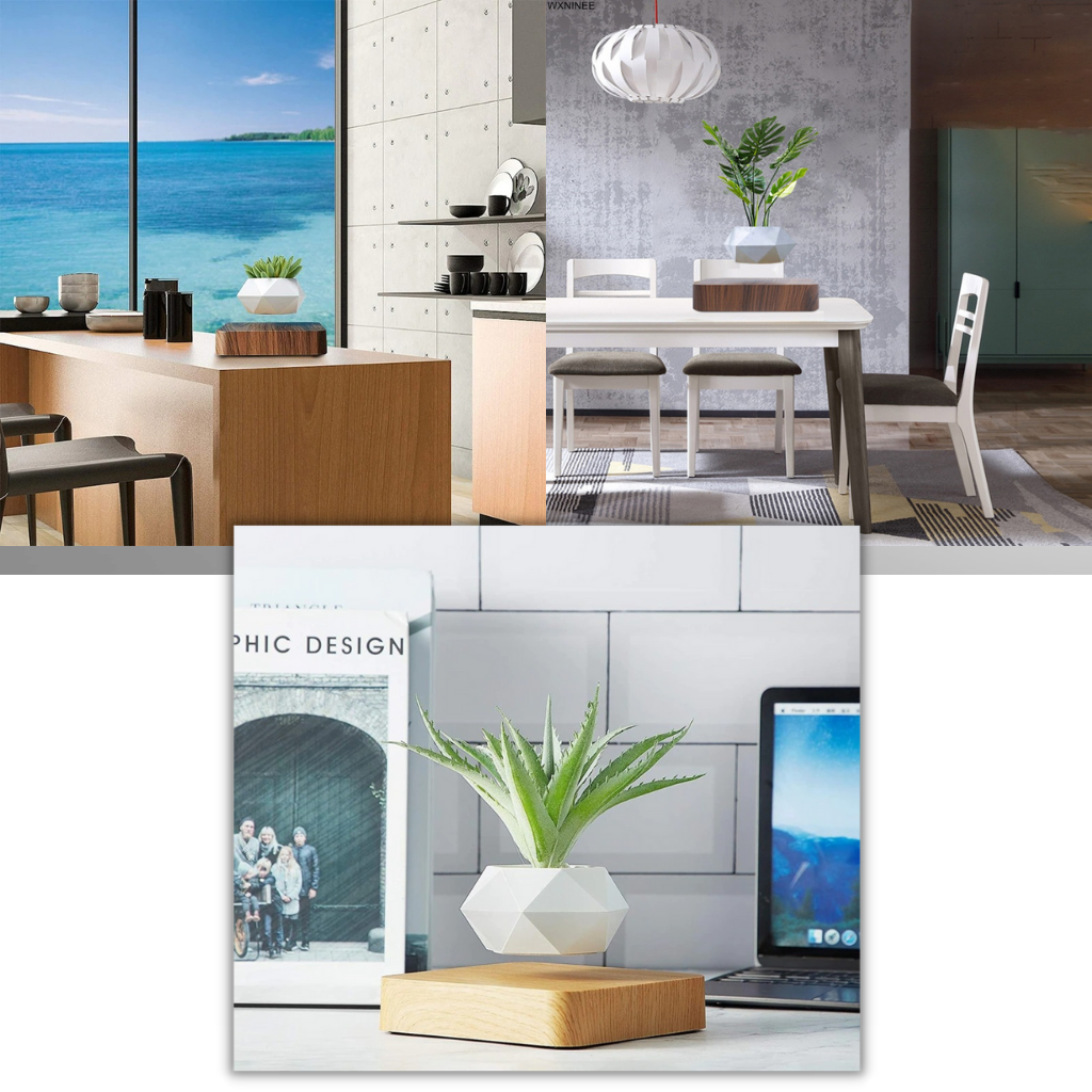 Pot à plante flottant en lévitation