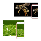 Microscope numérique à USB avec LED