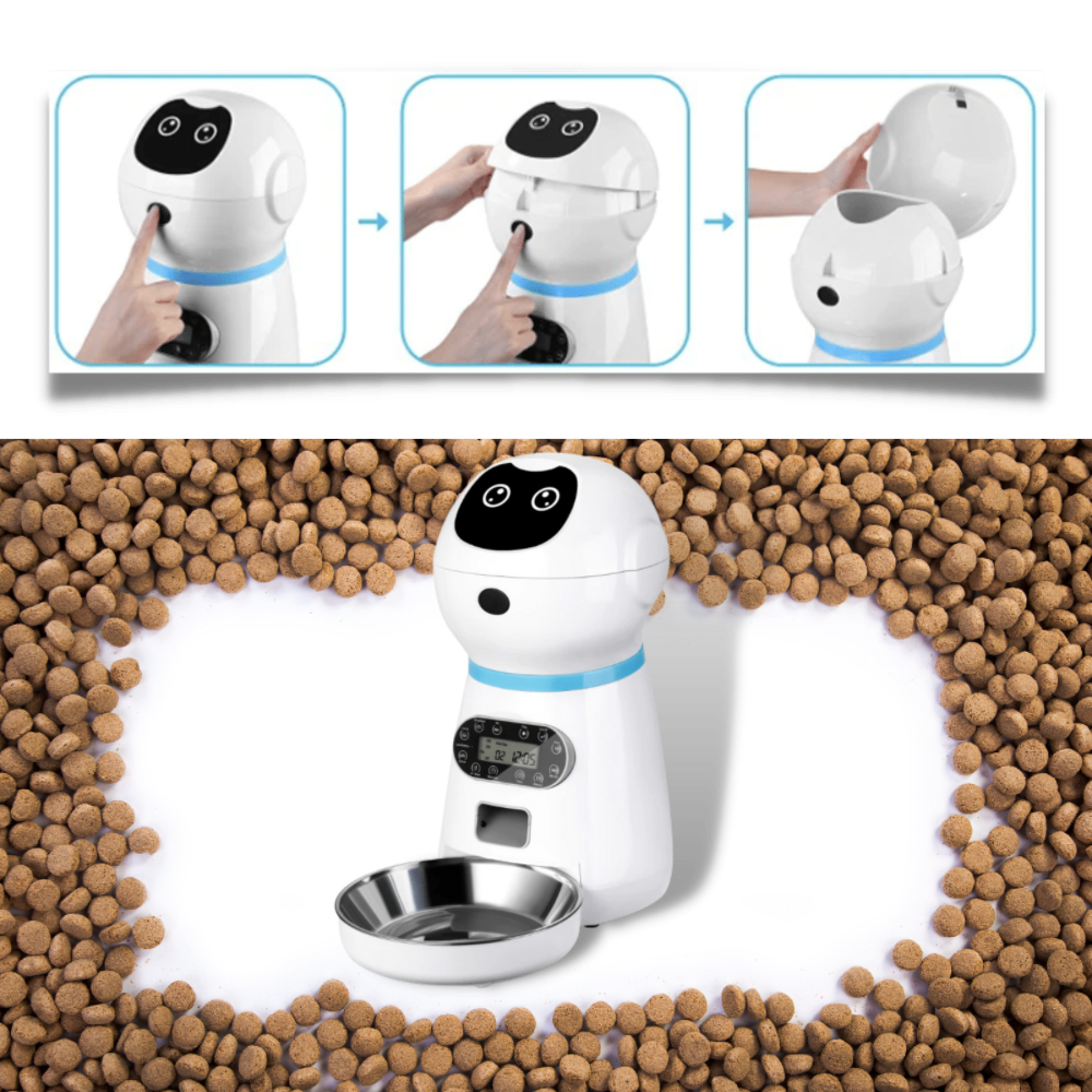 Distributeur automatique de nourriture pour animaux de compagnie