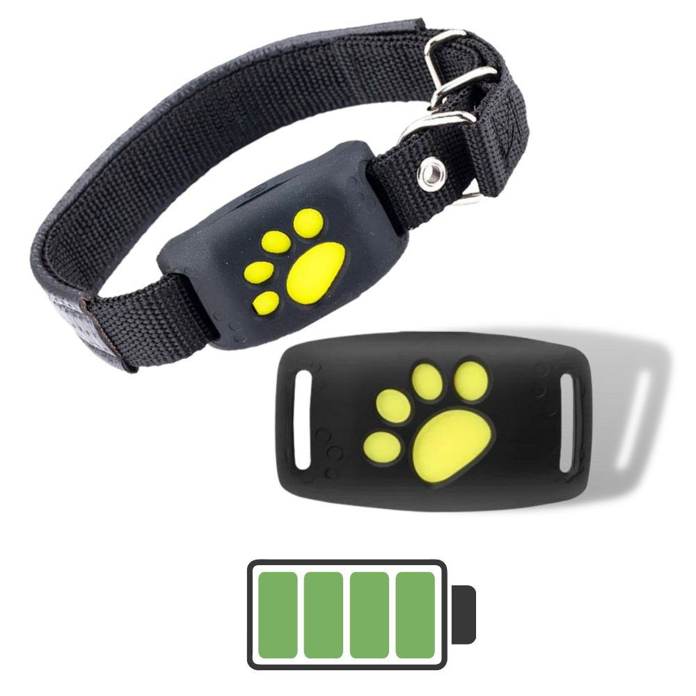 Collier de repérage GPS pour animaux de compagnie
