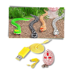 Jouet serpent interactif télécommandé pour chat