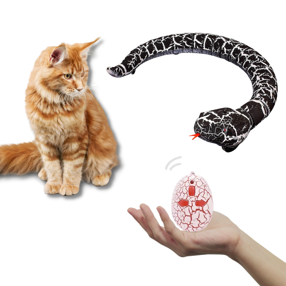 Jouet serpent interactif télécommandé pour chat
