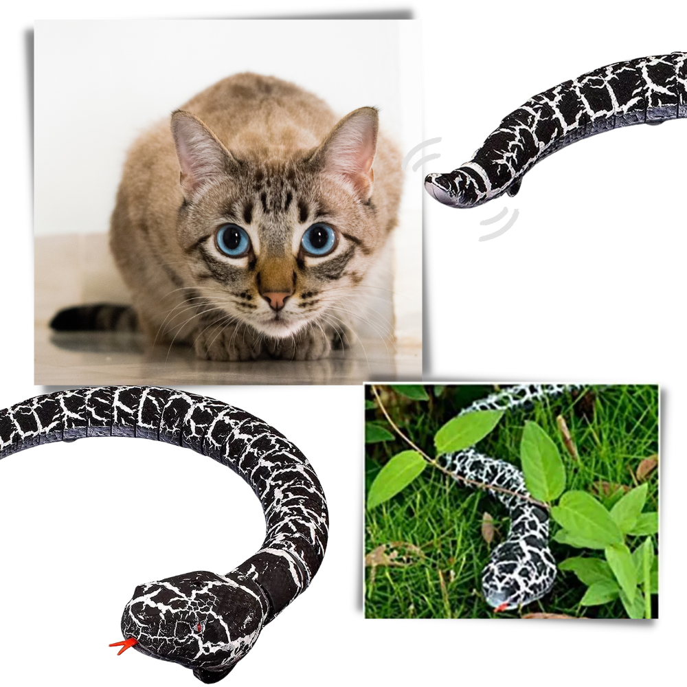Jouet serpent interactif télécommandé pour chat