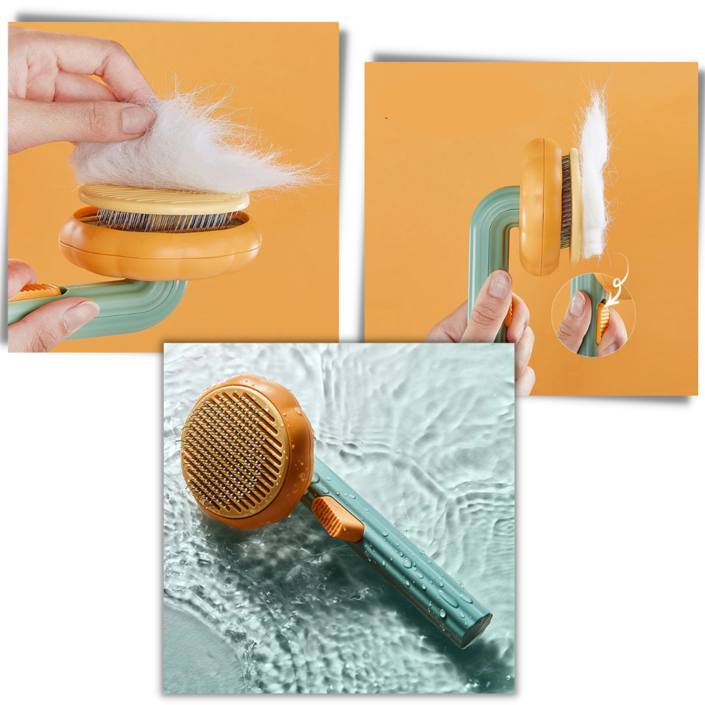 Brosse autonettoyante pour animaux de compagnie