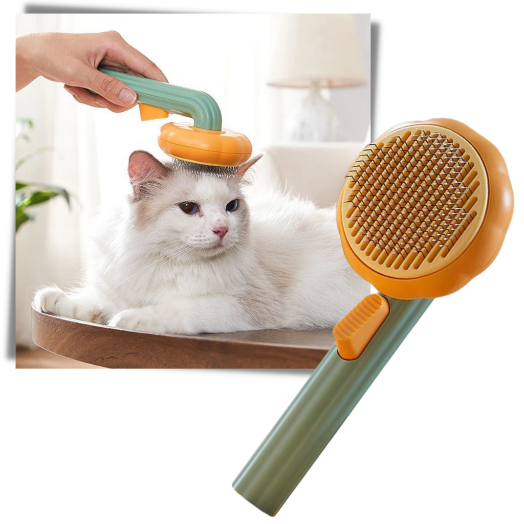 Brosse autonettoyante pour animaux de compagnie