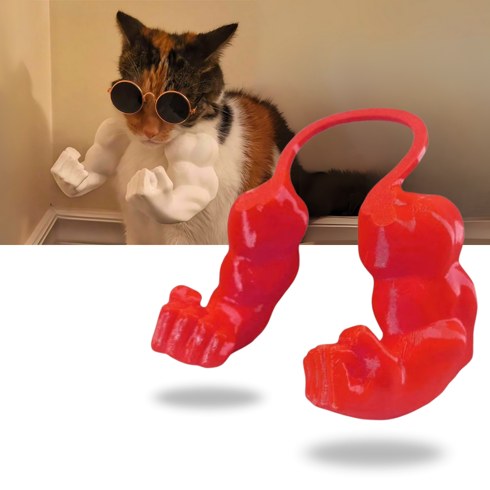 Costume pour chat bras de bodybuilder