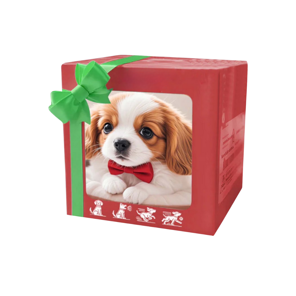 Adorable robot chaton/chiot