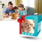 Adorable robot chaton/chiot