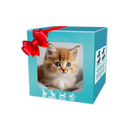 Adorable robot chaton/chiot