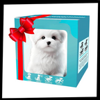 Adorable robot chaton/chiot