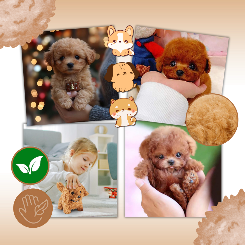 Adorable robot chaton/chiot