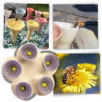 Abreuvoirs pour abeilles discrets et attrayants