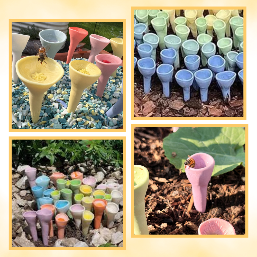 Abreuvoirs pour abeilles discrets et attrayants