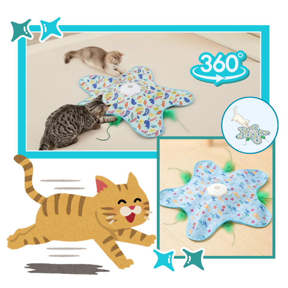 Jouet tapis interactif à plumes pour chatons en phase de dentition