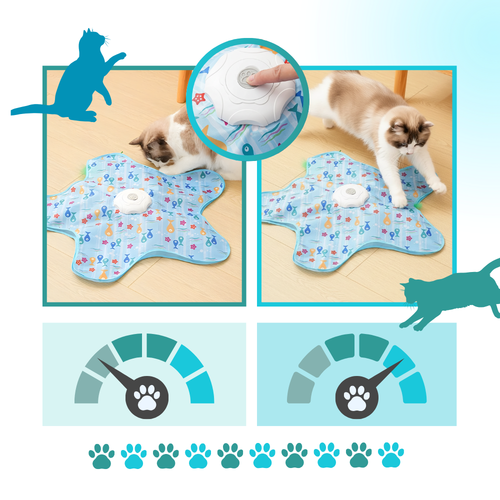 Jouet tapis interactif à plumes pour chatons en phase de dentition