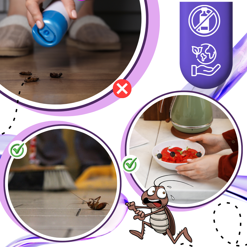 Perles anti-cafards à l'extrait de lavande