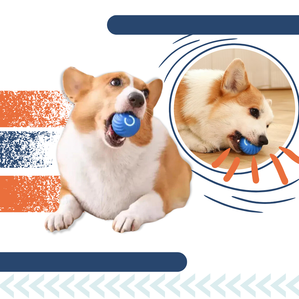 Balle pour chien avec évitement d'obstacles