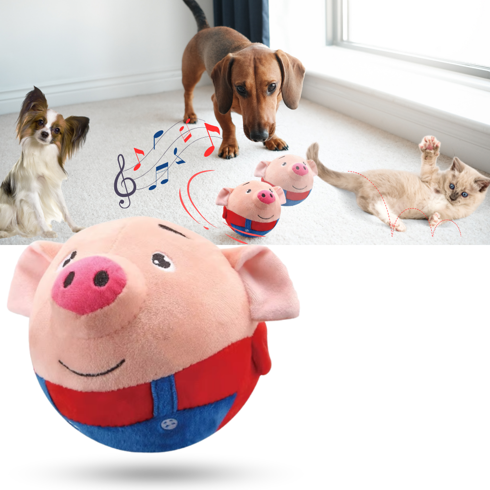 Jouet interactif pour chien