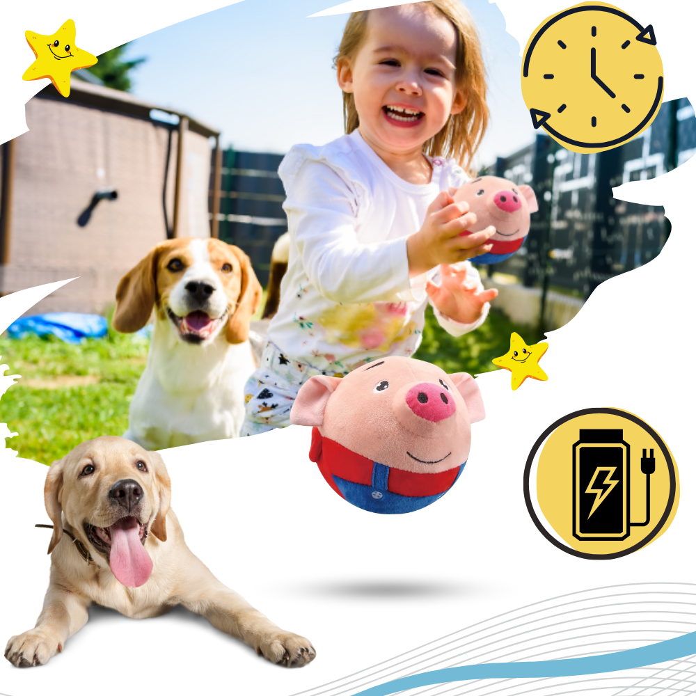 Jouet interactif pour chien