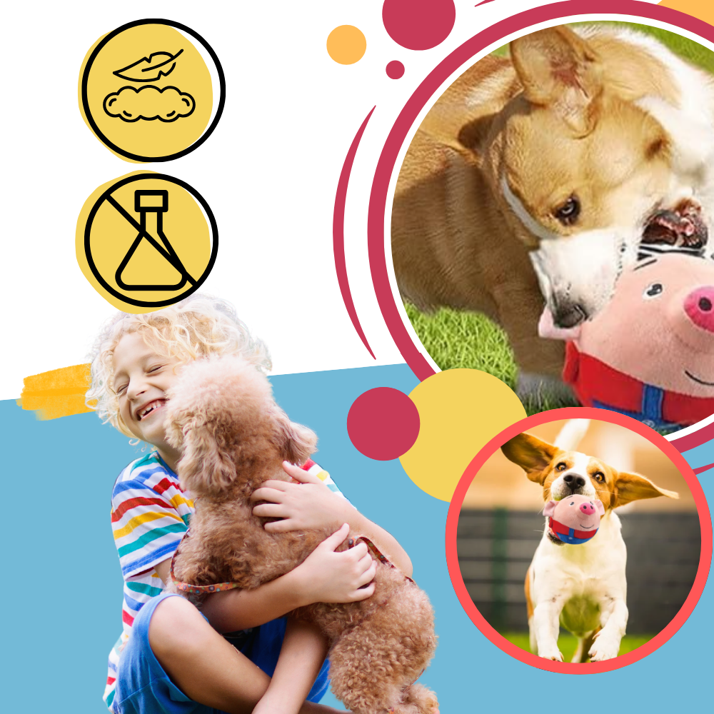 Jouet interactif pour chien