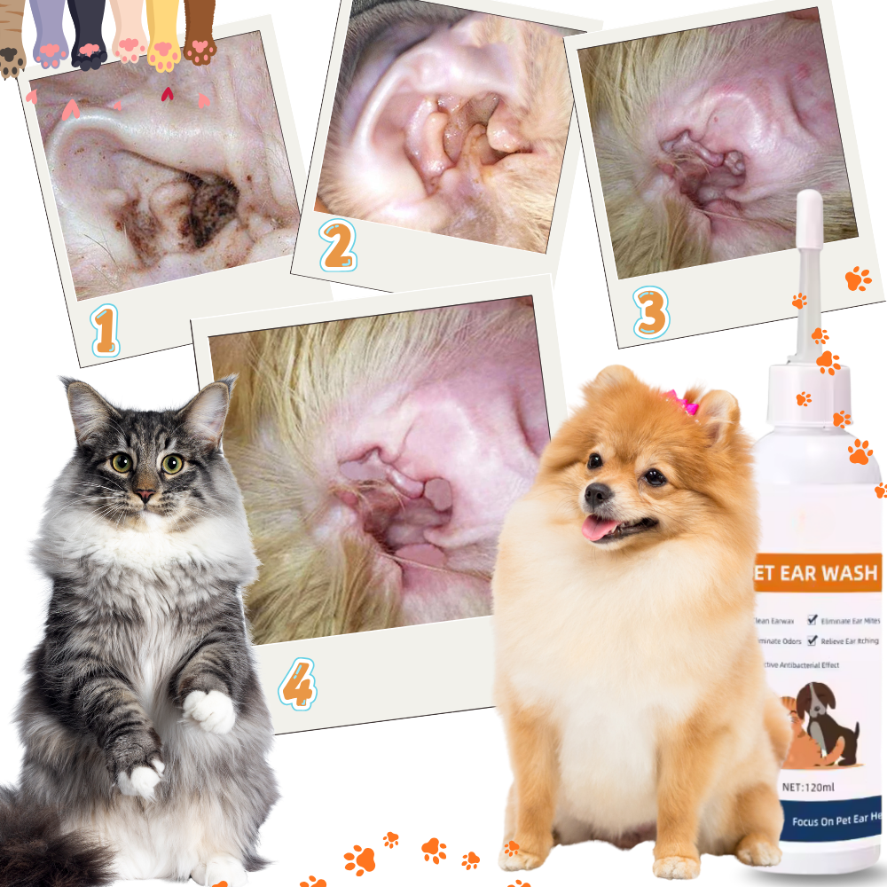 Nettoyant et désodorisant pour oreilles d'animaux