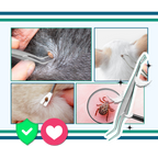 Pince à Tiques De Précision