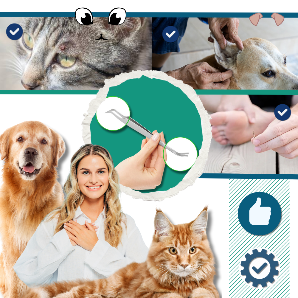 Pince à Tiques De Précision