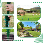 Répulsif Solaire à Impulsions