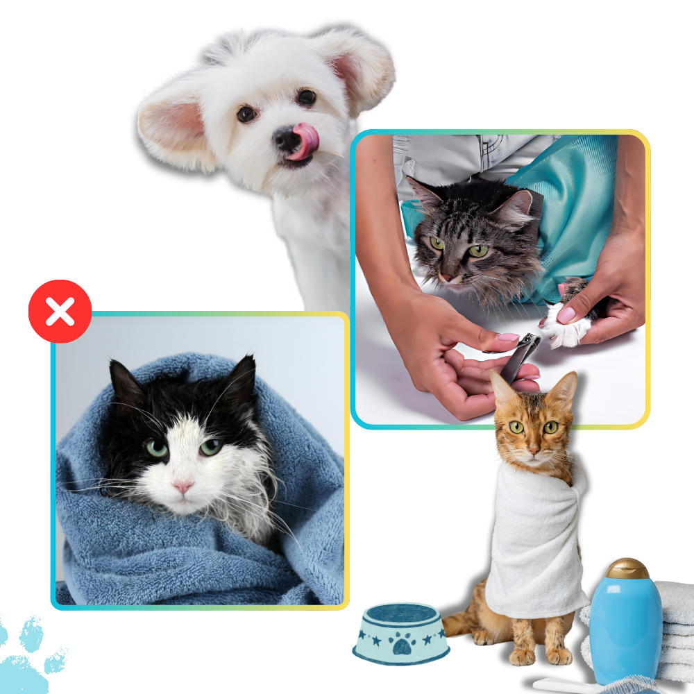 Sac de transport serein pour chat