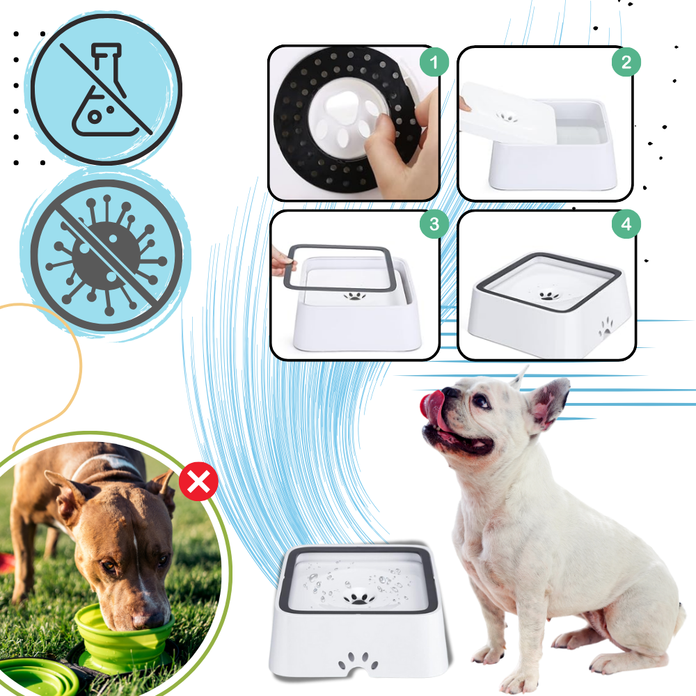 Gamelle anti-éclaboussures pour chiens