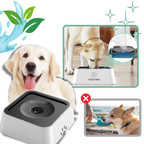 Gamelle anti-éclaboussures pour chiens